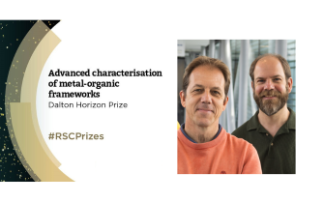 ​​Collaboration involving B22 scientists wins RSC award