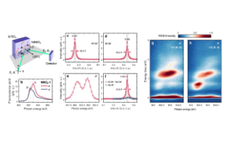 Investigating the charge-ordered phase in layered nickelates