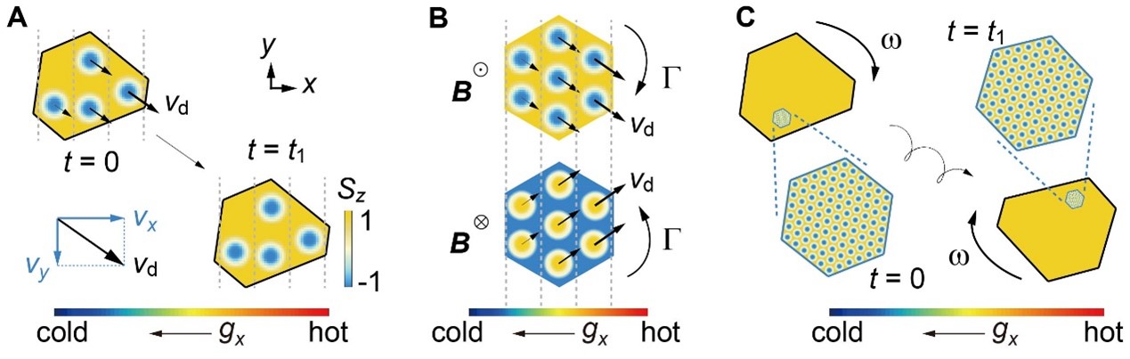 Discovering a New Dimension in Skyrmion Dynamics - - Diamond Light Source