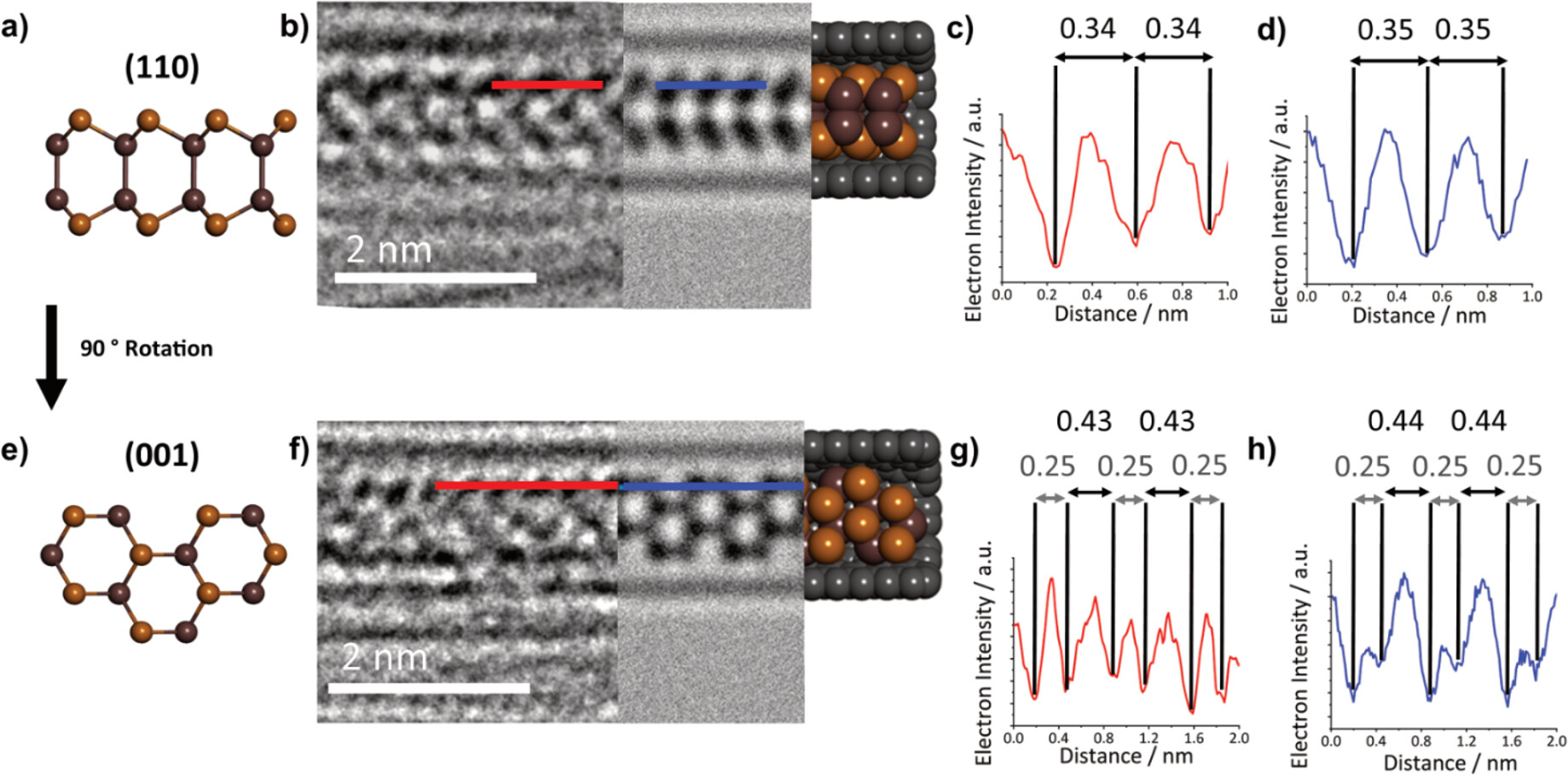 (a) Structural model of monolayer InSe in the (110) orientation. (b) Three-part composite image of an InSe nanoribbon inside a SWCNT, consisting of an AC-TEM image (left), a simulated TEM image (center), and molecular model (right). (c, d) Electron density profile maps in red, generated from the red line superimposed over the experimental AC-TEM image in (b), and in blue, generated from the blue line superimposed over the simulated TEM image in (b), with calculated interatomic distances highlighted in nm. (e–h) The same as (a–d), respectively, but for the (001) orientation of the same nanoribbon.